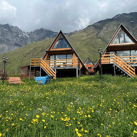 T&T Cottage Kazbegi Eksteriør bilde